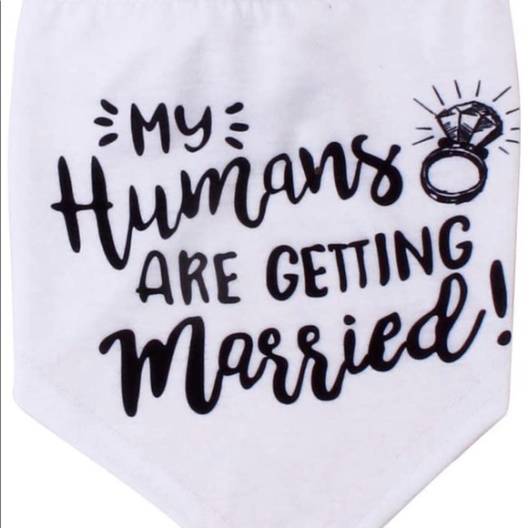 SM dog Tux and bandana - Picture 4 of 4